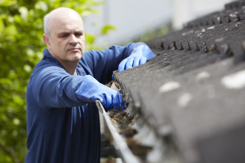 Gutter Inspection During Cleaning
